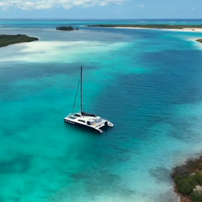 Clear and glass bottom boat tours